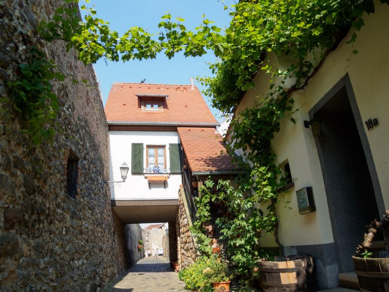 One of the many quaint wine towns in the Pfalz