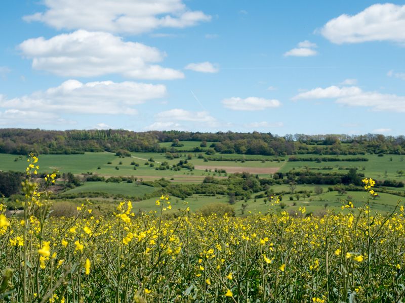 Mandelbachtal near Saarbrücken