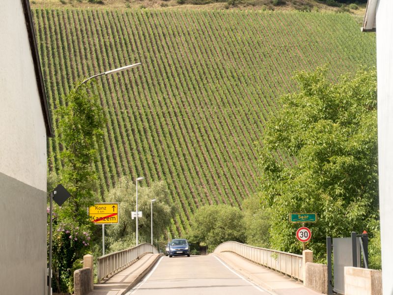 Mosel wine region near Trier