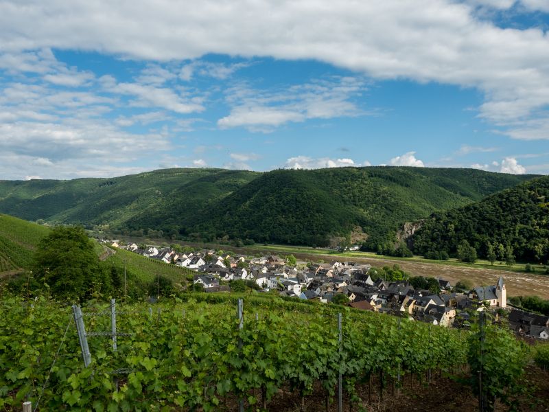 Müden an der Mosel
