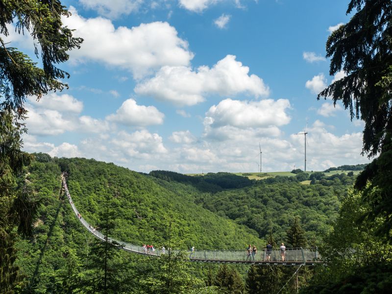 Geierlay Hängeseilbrücke